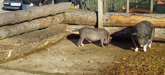 Weihnachten auf dem Possen (Foto: Thomas Leipold)