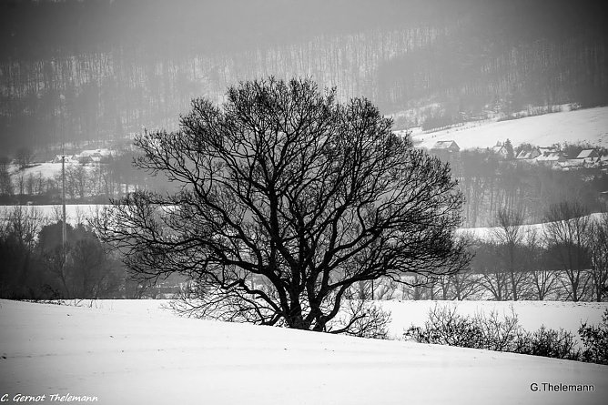 Wetterbild (Foto: Gernot Thelemann) Wetterbild (Foto: Gernot Thelemann)