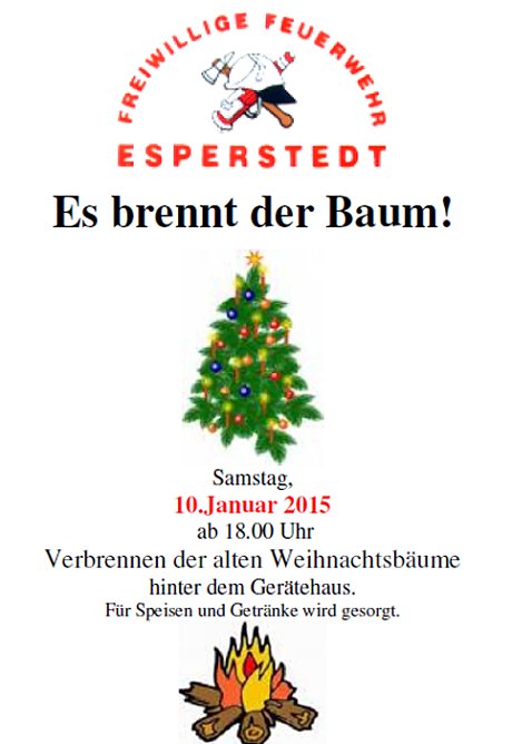 Es brennt der Baum! (Foto: Privat)