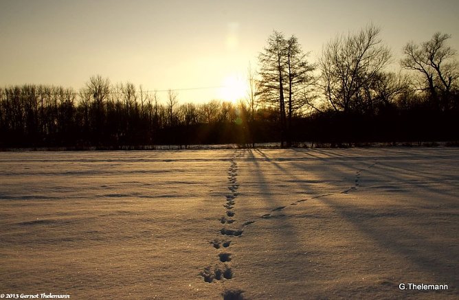 Wetterbild (Foto: Gernot Thelemann) Wetterbild (Foto: Gernot Thelemann)