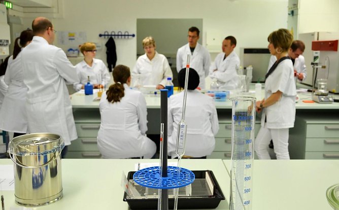 Zweite Auflage (Foto: Tina Bergknapp/FHN)