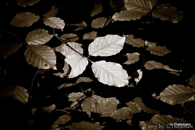 Wetterbild (Foto: Gernot Thelemann)