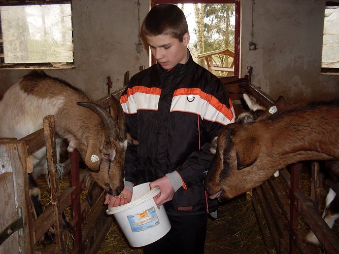Tiere f&uuml;ttern, spielen, Natur erleben - das Wintercamp in Harzrigi hat wieder viel zu bieten (Foto: Schullandheim Harzrigi)