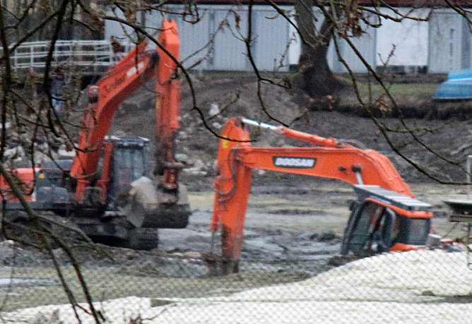 Tief im Schlamm eingesunken (Foto: Privat)