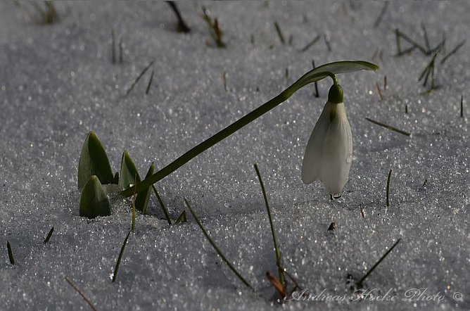Winter in Greu&szlig;en (Foto: Andreas Hocke)