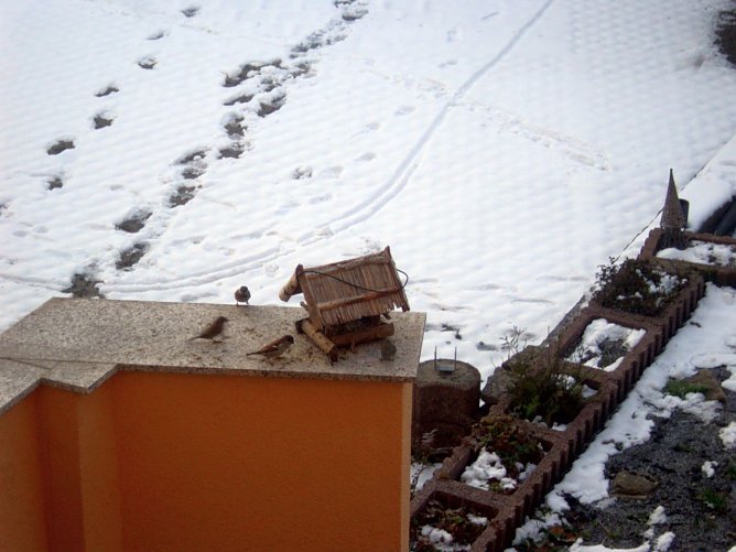 Trotz des milden Winters - Vögel nicht vergessen (Foto: Thomas Leiphold) Trotz des milden Winters - Vögel nicht vergessen (Foto: Thomas Leiphold)
