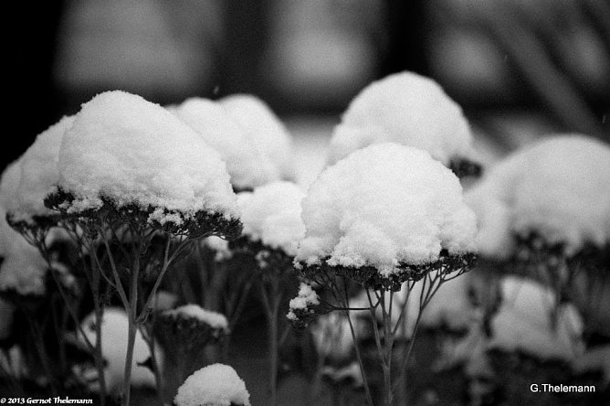 Wetterbild (Foto: Gernot Thelemann) Wetterbild (Foto: Gernot Thelemann)