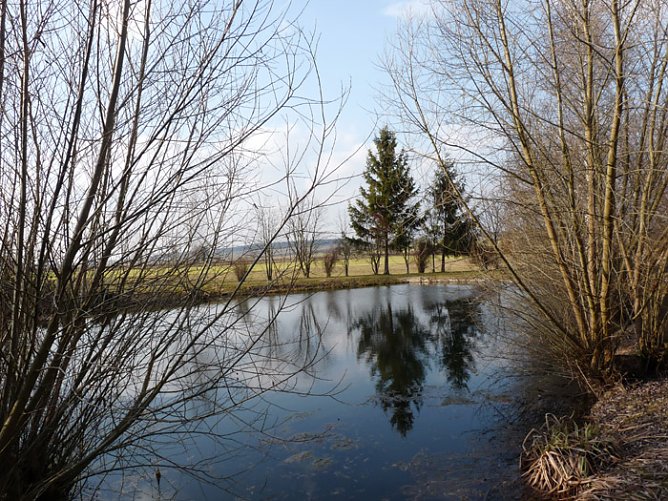 Dorfteich Gundersleben (Foto: Karl-Heinz Herrmann)