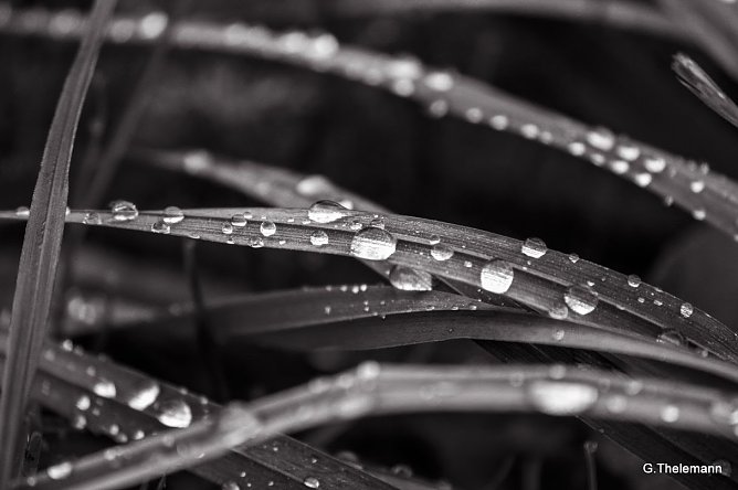 Wetterbild (Foto: Gernot Thelemann)
