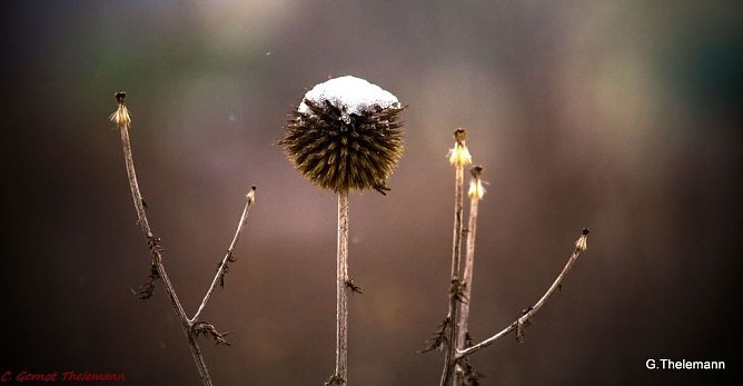Wetter-Bild (Foto: Gernot Thelemann)
