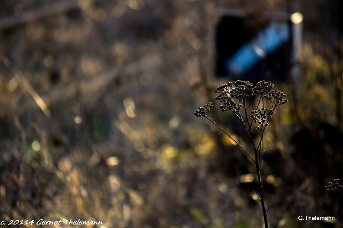 Wetter-Bild (Foto: Gernot Thelemann)