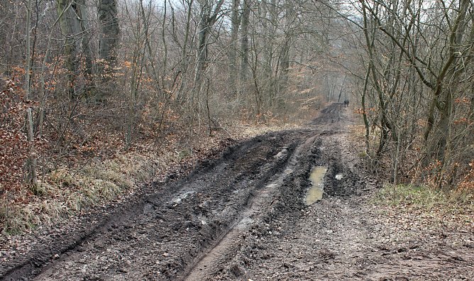 Vorsicht an einigen Wanderwegen (Foto: Karl-Heinz Herrmann)