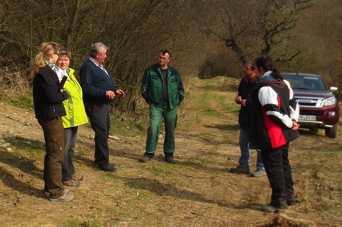 Abnahme der Fl&auml;chen (Foto: privat)