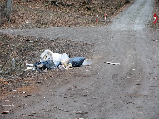 M&uuml;ll &uuml;ber M&uuml;ll (Foto: Privat)