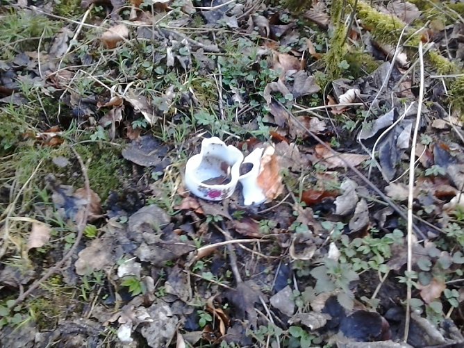 M&uuml;ll &uuml;ber M&uuml;ll (Foto: Privat)