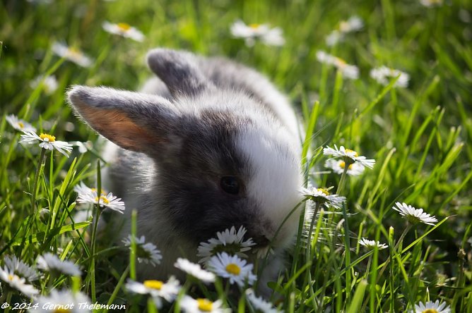 Wetterbild (Foto: Gernot Thelemann) Wetterbild (Foto: Gernot Thelemann)