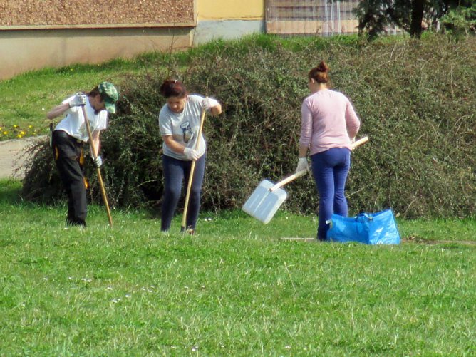 VdK dabei - Fr&uuml;hjahrsputz auf dem K&ouml;nigstuhl (Foto: Ina R&ouml;mer)