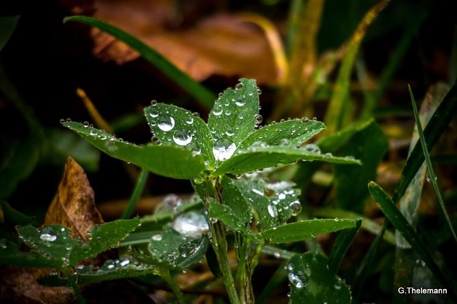 Wetterbild (Foto: Gernot Thelemann)