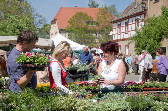 Naturführung beim Blumenmarkt (Foto: Thomas Stephan) Naturführung beim Blumenmarkt (Foto: Thomas Stephan)