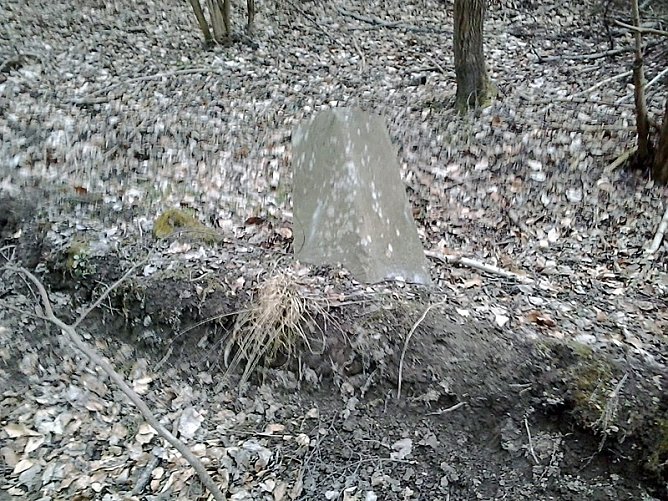 Kleindenkmale vergammeln (Foto: Privat)