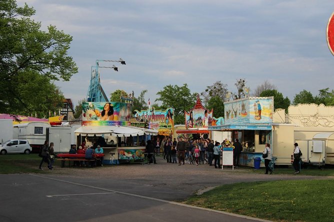 Fliederkrone wurde gesetzt (Foto: Karl-Heinz Herrmann)