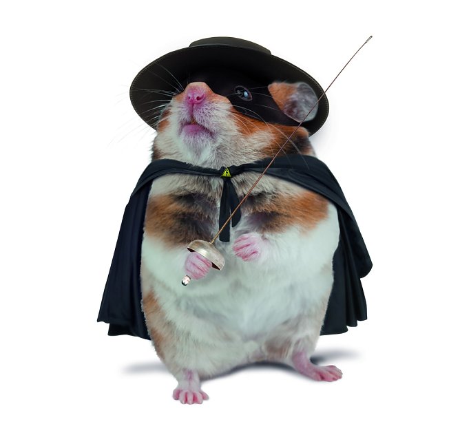 Sch&ouml;nster Horst gew&auml;hlt (Foto: Stadtwerke Sondershausen)