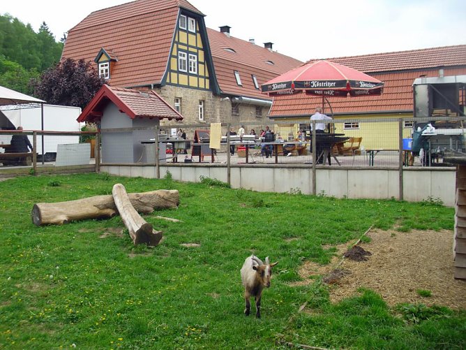 Auf M&uuml;hlentour (3) (Foto: Thomas Leipold)