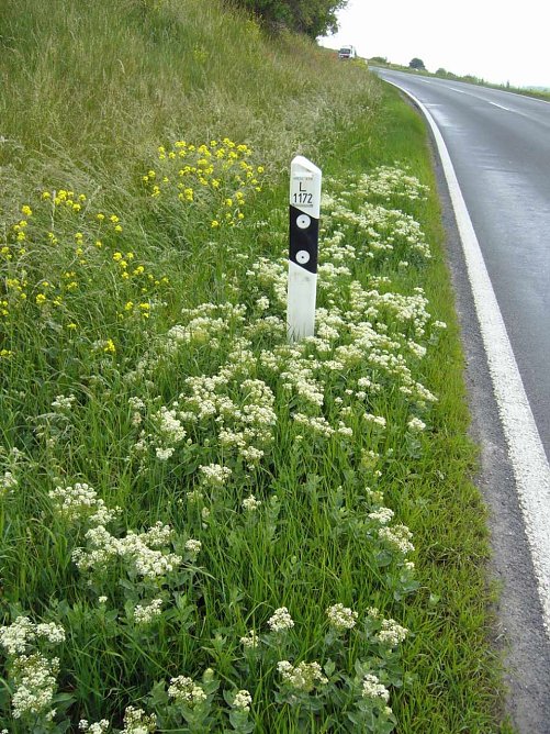 Artenschutz braucht viele Helfer (Foto: Landratsamt Kyffhäuserkreis) Artenschutz braucht viele Helfer (Foto: Landratsamt Kyffhäuserkreis)