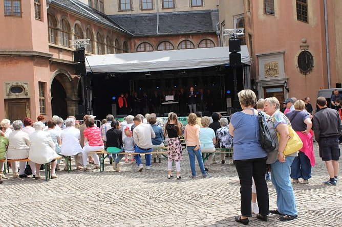 Bums da war der Kopf ab! (Foto: Privat)