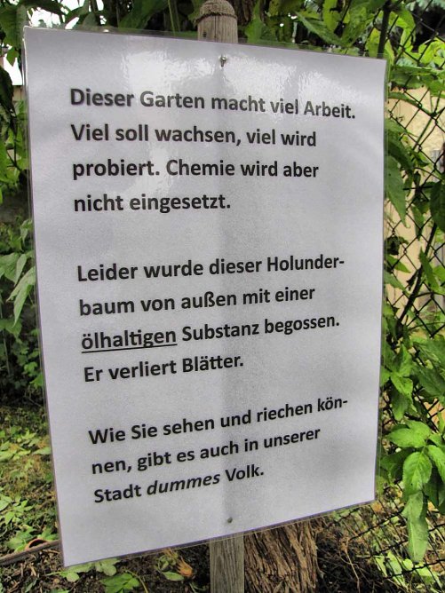 Forum: Mensch und Dummheit in der Paarungszeit (Foto: Andreas Zeidler)