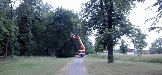 Neues aus Sondershausen (Foto: Privat)