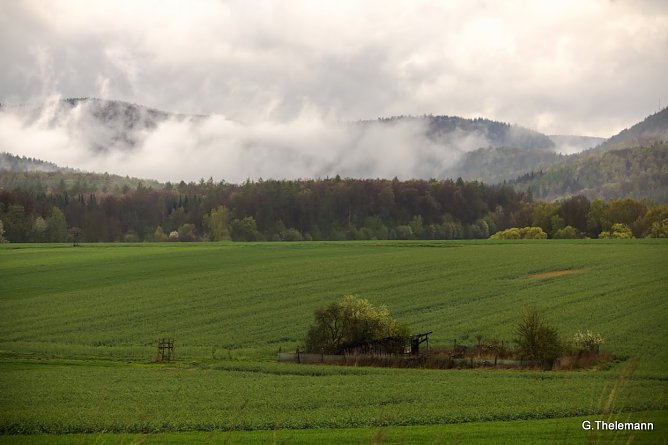 Wetter-Bild (Foto: Gernot Thelemann)