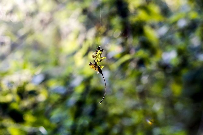 Wetterbild (Foto: Gernot Thelemann) Wetterbild (Foto: Gernot Thelemann)