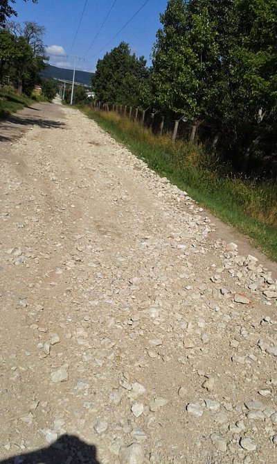 Rund um Sondershausen meiden (Foto: Privat)