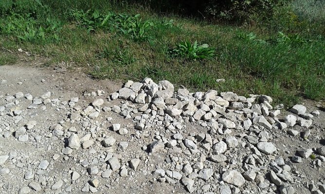 Rund um Sondershausen meiden (Foto: Privat)