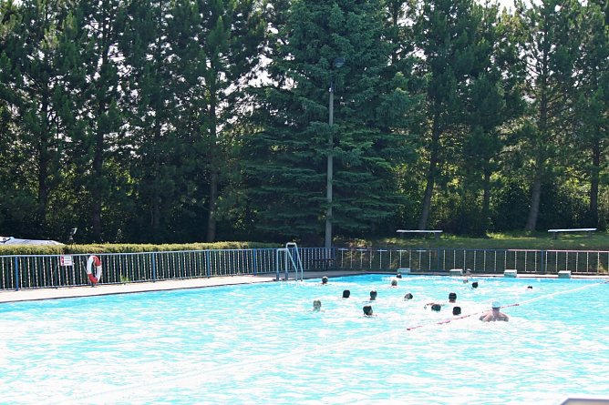 Schwimmen und gewinnen (Foto: Markus T&ouml;ppe)