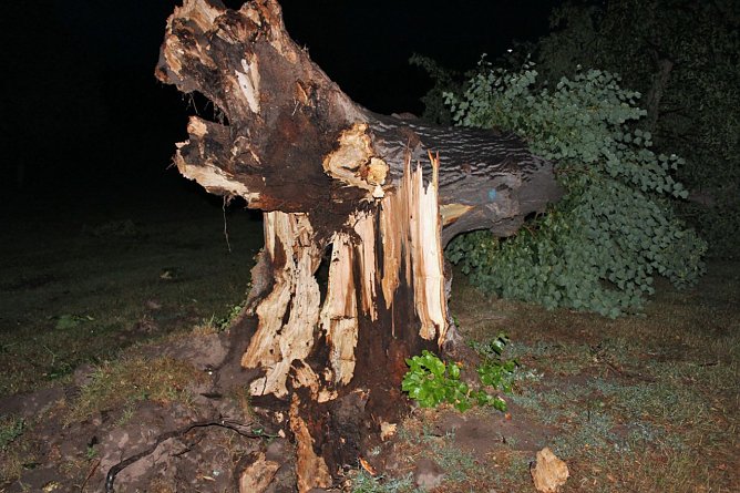 Schlosspark verw&uuml;stet (Foto: Karl-Heinz Herrmann)