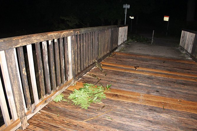 Schlosspark verw&uuml;stet (Foto: Karl-Heinz Herrmann)