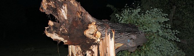 Sturm (Foto: Karl-Heinz Herrmann)