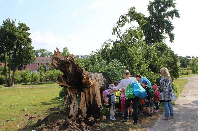 Rock meets Classic findet statt (Foto: Karl-Heinz Herrmann) Rock meets Classic findet statt (Foto: Karl-Heinz Herrmann)