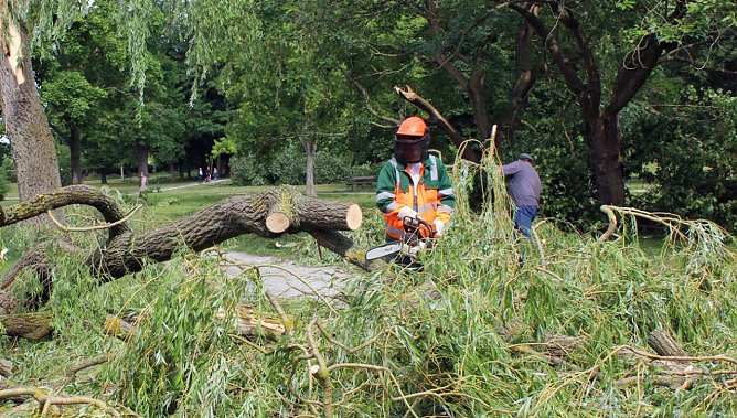 Schlosspark Sondershausen gesperrt (Foto: Karl-Heinz Herrmann) Schlosspark Sondershausen gesperrt (Foto: Karl-Heinz Herrmann)