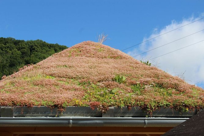 Informationspunkt f&uuml;r Touristen &uuml;bergeben (Foto: Karl-Heinz Herrmann)