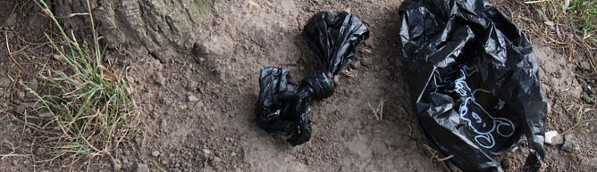 Stilles Abkommen &uuml;ber Hundekot? (Foto: Karl-Heinz Herrmann)