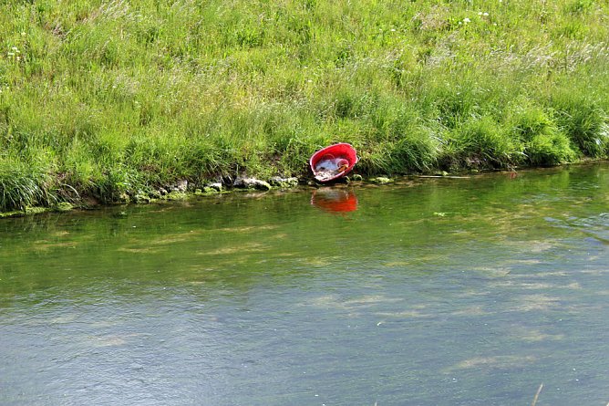 Nicht viel Neues? (Foto: Karl-Heinz Herrmann)