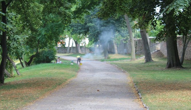 Grillparty im Schlosspark? (Foto: Karl-Heinz Herrmann) Grillparty im Schlosspark? (Foto: Karl-Heinz Herrmann)