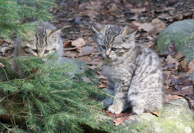 Nicht mit nach Hause nehmen (Foto: Claus Bauer) Nicht mit nach Hause nehmen (Foto: Claus Bauer)