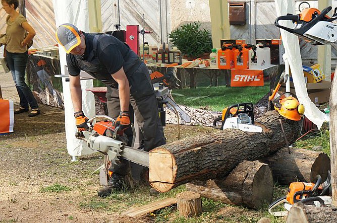 Holzmarkt Hohe Schrecke (Foto: Hohe Schrecke)