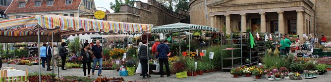 Pflanzenmarkt gestartet (Foto: Karl-Heinz Herrmann)