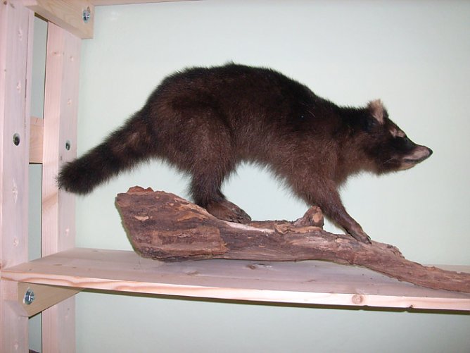 Im Lernort Natur (Foto: Karl-Heinz Herrmann) Im Lernort Natur (Foto: Karl-Heinz Herrmann)