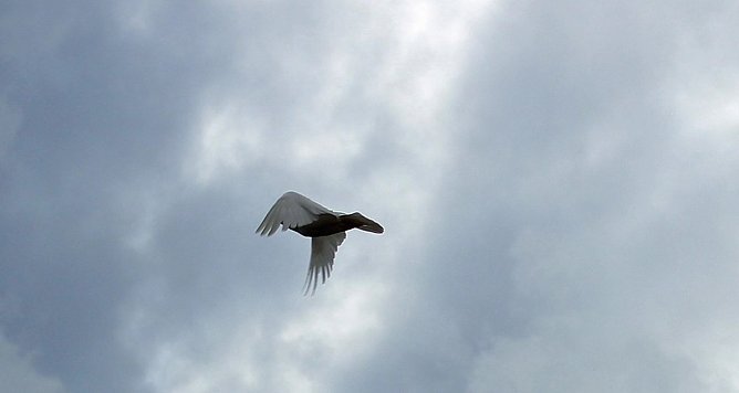 Buntes Familienfest (Foto: Karl-Heinz Herrmann) Buntes Familienfest (Foto: Karl-Heinz Herrmann)